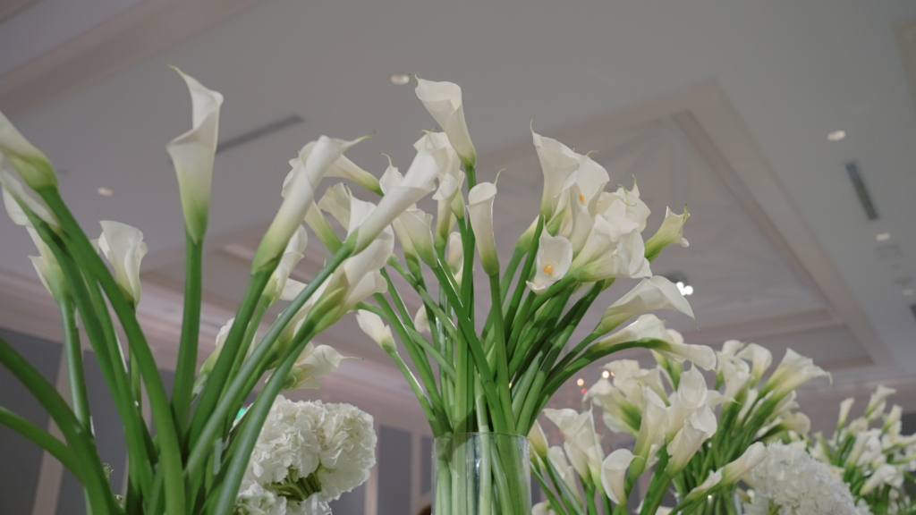 White flowers at Boston Library decorate the table at a wedding.